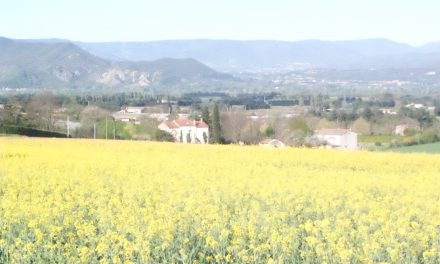 RAPPORT D’ACTIVITÉ LORIOL-CLIOUSCLAT