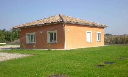 RAPPORT D’ACTIVITE PLAINE DE ROMANS / PEYRINS-GEYSSANS