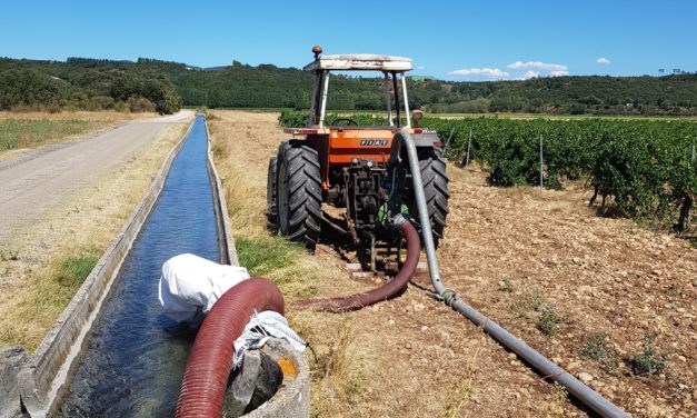 RECONVERSION DU RESEAU GRAVITAIRE DU TRICASTIN