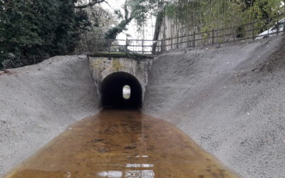 RENOVATION DU CANAL EN AVAL DE LA GALERIE DUPRE-LATOUR