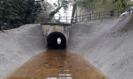 RENOVATION DU CANAL EN AVAL DE LA GALERIE DUPRE-LATOUR