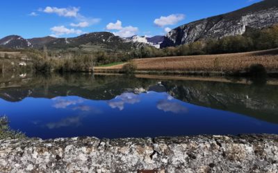 MISE EN OEUVRE DES CHASSES SEDIMENTAIRES AU BARRAGE D’AUBERIVES EN ROYANS