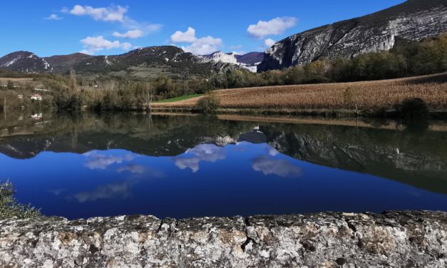 MISE EN OEUVRE DES CHASSES SEDIMENTAIRES AU BARRAGE D’AUBERIVES EN ROYANS