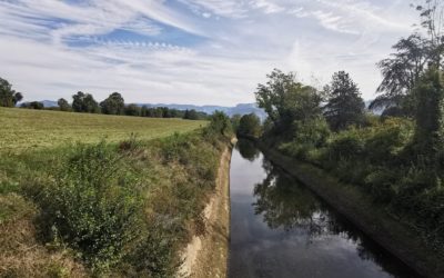 REGLEMENT D’ACCES AU CANAL