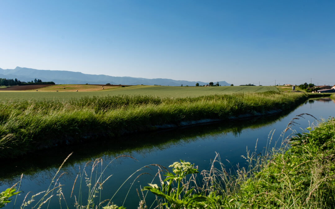 BAIGNADE ET NAVIGATION INTERDITES DANS LE CANAL DE LA BOURNE !!