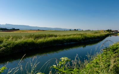 BAIGNADE ET NAVIGATION INTERDITES DANS LE CANAL DE LA BOURNE !!