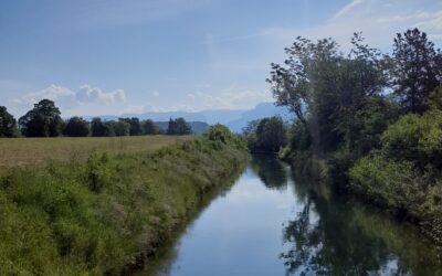 BAIGNADE INTERDITE DANS LE CANAL DE LA BOURNE