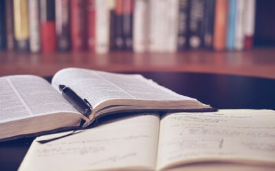 RAPPORT ANNUEL 2024 DU SID