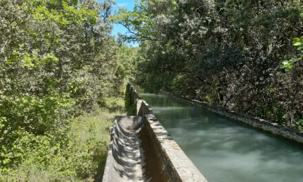 RECONVERSION DES RESEAUX GRAVITAIRES DU TRICASTIN