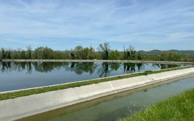 Rénovation du bassin de l&rsquo;Ecancière