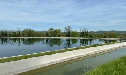 Rénovation du bassin de l&rsquo;Ecancière